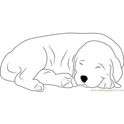 Sleeping Dog Free Coloring Page for Kids Dog Lying Down Drawing, Dog Sleeping Drawing, Nurse Drawing, Dog Line Drawing, Sleeping Drawing, Dog Printable, Puppy Sketch, Puppy Coloring Pages, Daily Sketch