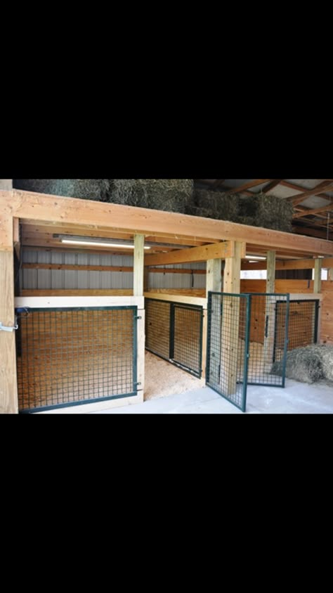 Horse Stall Dog Kennel, Cow Enclosure Ideas, Cow Enclosure, Animal Barn Ideas, Sheep Barn Ideas, Sheep Enclosure, Cow Barn Ideas, Goat Barn Layout, Goat Pen Ideas