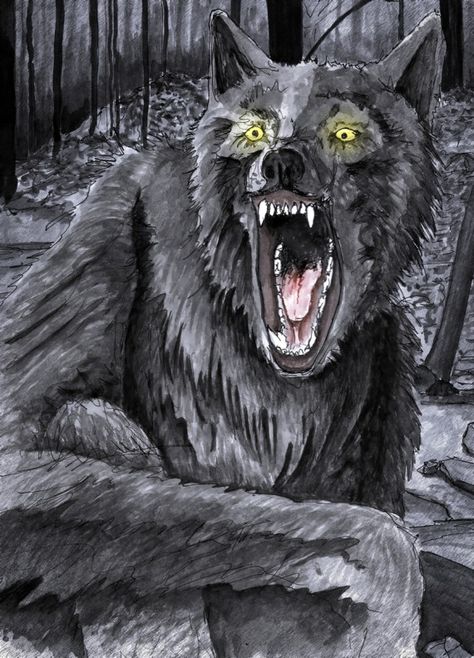 “Dog With A Human Face” Dogman Cryptid, Werewolf Lore, Real Werewolf, Michigan Dogman, Paranormal Creatures, Largest Wolf, Mysterious Universe, Myths & Monsters, Dog Man