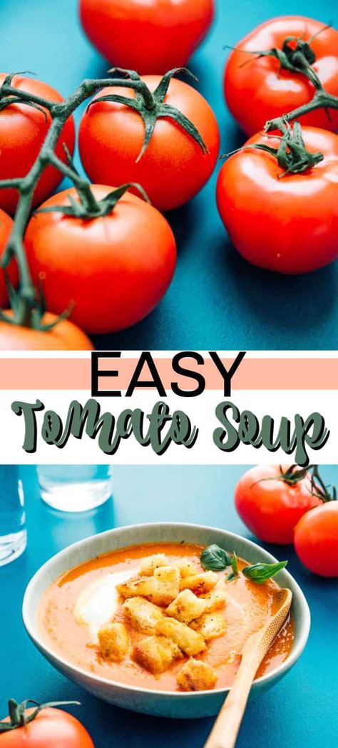 Tomato Soup Using Fresh Tomatoes, Easy Homemade Tomato Soup, International Meals, Appetizers Appetizers, Easy Tomato Soup Recipe, Homemade Tomato Soup Recipe, Fresh Tomato Soup, Fresh Lunch, Soup Tomato