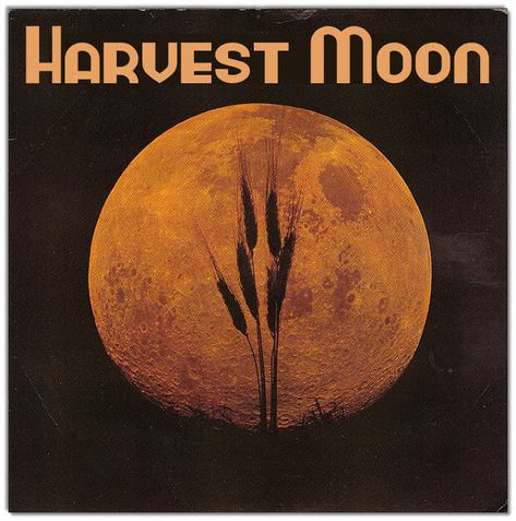 Harvest Moon Neil, Moon Lyrics, Music Sleeve, October Mood, Genius Lyrics, Full Moon Rising, Goodnight Moon, Moon Song, Moon Tattoo Designs