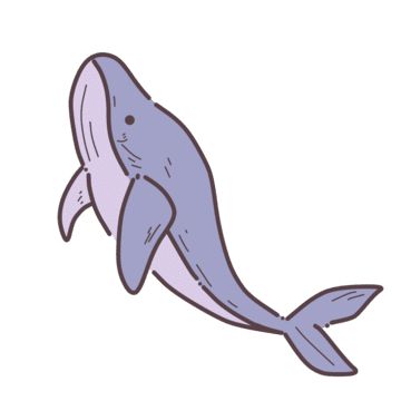 Whale Shark Clipart, Cute Whale Doodle, Big Animals Drawing, Blue Whale Drawing Simple, Decorative Drawing Ideas, How To Draw Whale, Whale Cute Drawing, How To Draw A Whale, Whale Illustration Cute