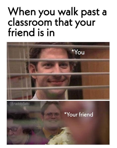 School Memes, Memes Br, Funny Animal Jokes, Crazy Funny Memes, A Classroom, Funny Relatable Quotes, E Card, Terminator, Really Funny Memes