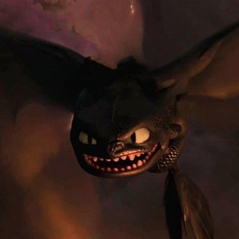 Angry Toothless, Httyd Funny, Dragon Base, Httyd 2, Httyd Art, Childhood Characters, Httyd 3, Light Fury, Httyd Dragons