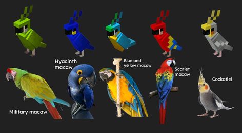 Minecraft Parrot Drawing, Parrot Home Minecraft, Minecraft Parrot, Real Birds, Parrot Drawing, Bird Types, All Minecraft, Minecraft Building, The Birds