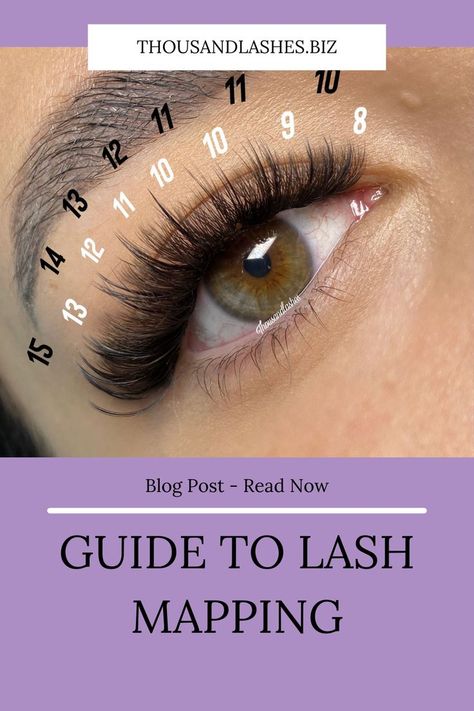 Mapping Eyelash Extensions, Lash Mapping Eyelash Extensions, Lash Mapping, Lashes Fake Eyelashes, Eyelash Tips, Eyelashes Extensions, Eyelash Technician, Cat Eye Lash, Eyelash Extensions Styles