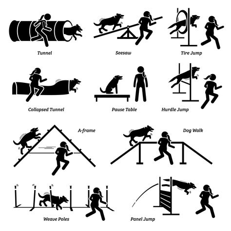 Dog Agility Course Diy, Dog Agility Course, Agility Training For Dogs, Dog Playground, Agility Training, Lady Girl, Stick Figure, Dog Agility, Sporting Dogs