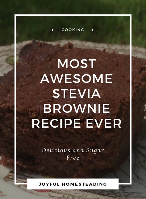 Stevia Brownies, Stevia Recipes Desserts, Muffin Snacks, Stevia Desserts, Savory Desserts, Sugar Free Cake Recipes, Sugar Free Frosting, Stevia Recipes, Sugary Treats