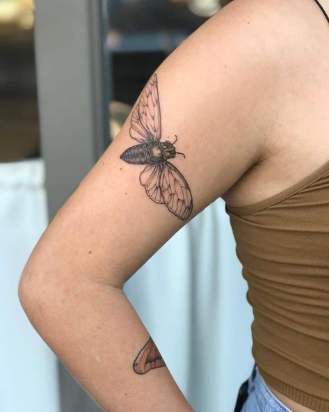 Cicada Tattoo, Flying Tattoo, Arm Tats, Single Needle Tattoo, Bug Tattoo, Insect Tattoo, Petite Tattoos, Bee Tattoo, Tattoo Feminina