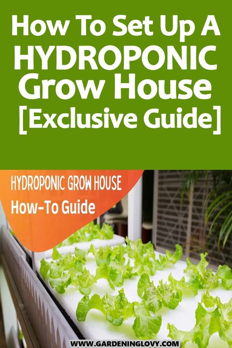 Wondering how to construct a hydroponic grow house? Find out quick ways to make a homemade hydroponic system in this post Homemade Hydroponic System, Aeroponic Gardening, Indoor Hydroponic Gardening, Hydroponic Gardening System, Grow House, Automatic Watering System, Growing Carrots, Hydroponic Farming, Hydroponics Diy