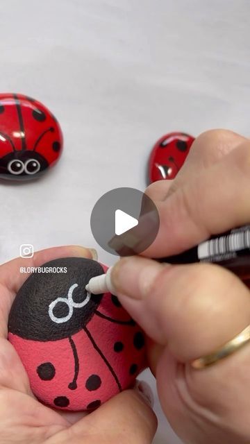 Ladybug Painted Rocks, Ladybug Rocks, Pet Rocks, Paint Pens, Rock Painting, Painted Rocks, Paint, Pet, On Instagram