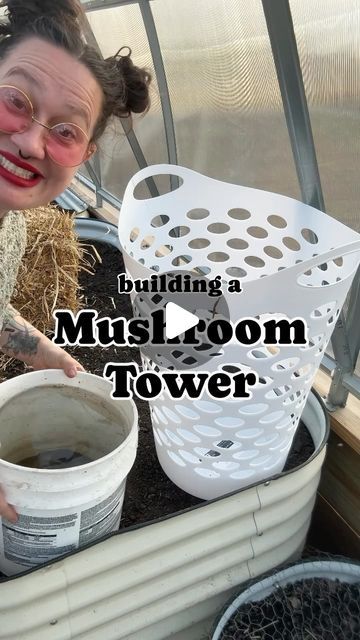 Tonya Snyder on Instagram: "🍄 Wanna hear a mushroom growing hack?  • Let’s take my mushroom grow block from @lushanddew_official and build a higher yielding mushroom tower with it instead! • You can even wait until after a few mushroom harvests from your oyster mushroom grow kit, first, before taking it outdoors for its new life, if you want! • You can mix the blocks with woody yard waste and/or layers of straw to grow even more tasty mushrooms! • I’ve started towers in mid-summer where temperatures exceeded 95°F for several days, and the first flush of mushrooms came after 40 days.  • Here in Missouri the best time, though, to start a mushroom tower is spring or early fall when there are mild temperatures and plenty of rain. • And that’s what we are doing today!  • Though I’m contemplati How To Grow Porcini Mushrooms, Grow Mushrooms At Home From Scraps, Outdoor Mushroom Garden, Button Mushrooms Growing, Grow Oyster Mushrooms At Home, How To Grow Oyster Mushrooms, Grow Mushrooms From Scraps, Growing Mushrooms At Home Diy, Grow Mushrooms Indoors