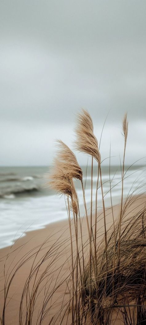 Rustic Beach Aesthetic, Beach Fall Aesthetic, Green Beach Aesthetic, Vintage Coastal Aesthetic, Sea Side Aesthetic, Strand Shoot, The Sea Aesthetic, Spring Vision Board, Photography Vision Board