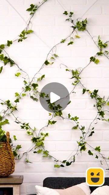 Blossom on Instagram: "Elevate your living space with this Hanger Plant hack 🌱🌿" Plant Hacks, Indoor Plants, Blossom, Living Spaces, Plants, On Instagram, Instagram