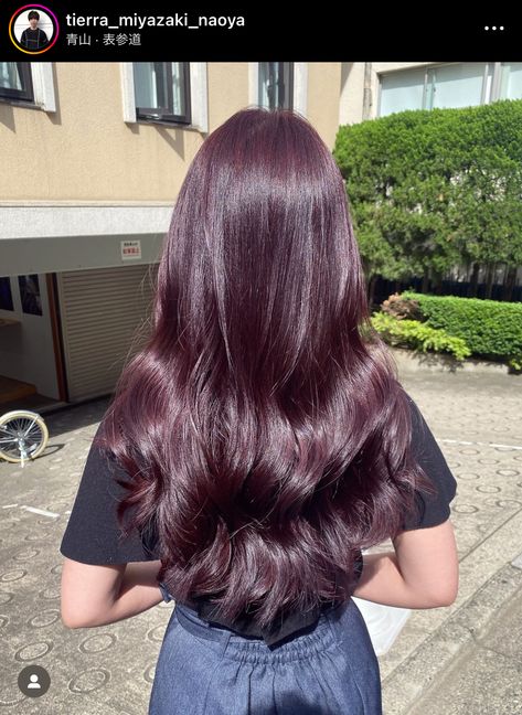 Wine Purple Hair Color, Purple Tinted Hair Brown, Red Purple Brown Hair, Raspberry Brown Hair, Red Plum Hair, Lavender Brown Hair, Cherry Purple Hair, Dark Brown Purple Hair, Wavy Purple Hair