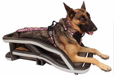 Custom Built Large Dog Carrier / Crate for All Motorcycles Dog Bike Seat, Large Dog Carrier, Dog Bike Carrier, Dog Motorcycle, Big Dog Motorcycle, Biker Dog, Dog Trailer, Motorcycle Carrier, Biking With Dog