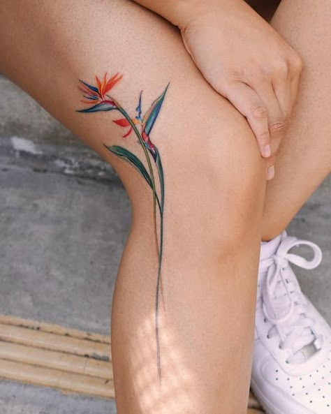 Small bird of paradise leg tattoo Bord Of Paradise Tattoo, Bird Of Paradise Back Tattoo, Ti Leaf Lei Tattoo, Birds Of Paradise Flower Tattoo, Bird Of Paradise Plant Tattoo, Paradise Bird Tattoo, Tropical Plants Tattoo, Birds Of Paradise Plant Tattoo, Tattoo Bird Of Paradise