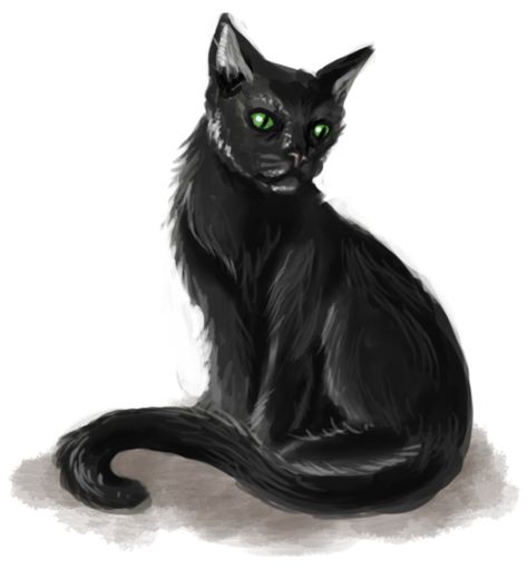 Dnd Animals, Wild Shape, Evil Cat, Black Cat Art, Cat Character, Dnd Art, Fantasy Rpg, Dnd Characters, Roleplaying Game