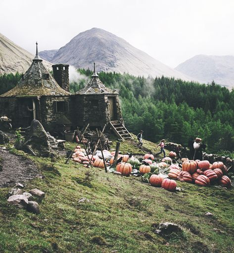 Hagrid's - Harry Potter ♥. via Tumblr #harrypotter #hogwarts #hagrid #ron #pumpkins #hermiona #harry #danielradcliffe #emmawatson #rupertgrint #followback #amazing #outdoors #random Hagrids Hut, Stile Harry Potter, Gryffindor Aesthetic, Harry Potter Wall, Images Harry Potter, Hogwarts Aesthetic, Bohemian House, Slytherin Aesthetic, Prisoner Of Azkaban