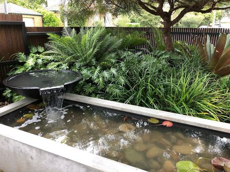 originaloutdoors.syd@gmail.com on Instagram: “New concrete home for the fish. • • • #concrete #pond #fish #water #waterfeature #garden #landscape #landscapeconstruction #outdoors…” Concrete Pond Diy, Concrete Tub, Concrete Pond, Raised Wooden Pond, Concrete Koi Pond, Outdoor Fish Ponds, Formal Koi Pond, Patio Pond, Pond Fish