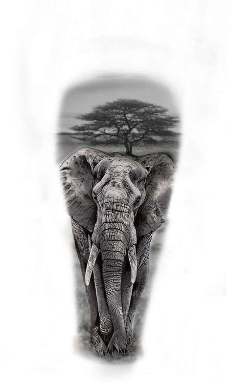 Elephant Tattoos Men Leg, Elephant Tattoos Men Forearm, African Tattoo Ideas For Men Sleeve, Leg Tattoo Men Calves, Safari Tattoo Design, Elephant Art Tattoo, Realistic Elephant Tattoo, Waterfall Tattoo, Animal Sleeve Tattoo