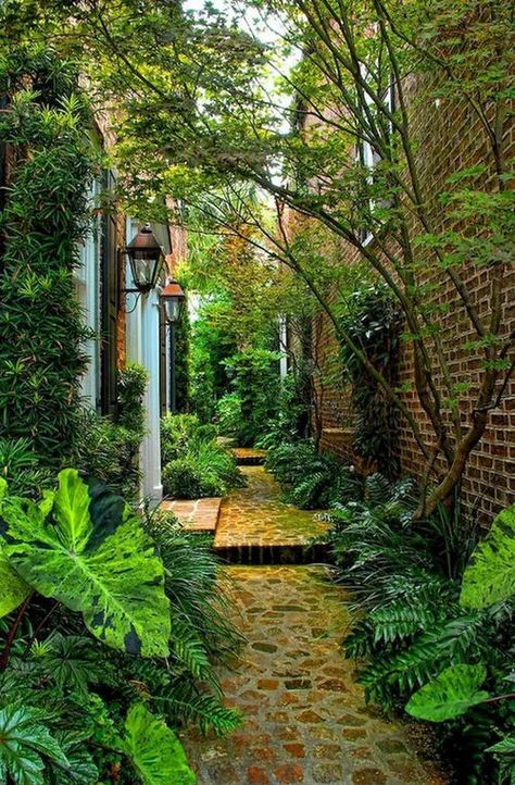 Garden In The House, How To Landscape, Narrow Garden, Landscape Backyard, Side Yard Landscaping, Courtyard Ideas, Side Yards, Courtyard Gardens, Side Garden