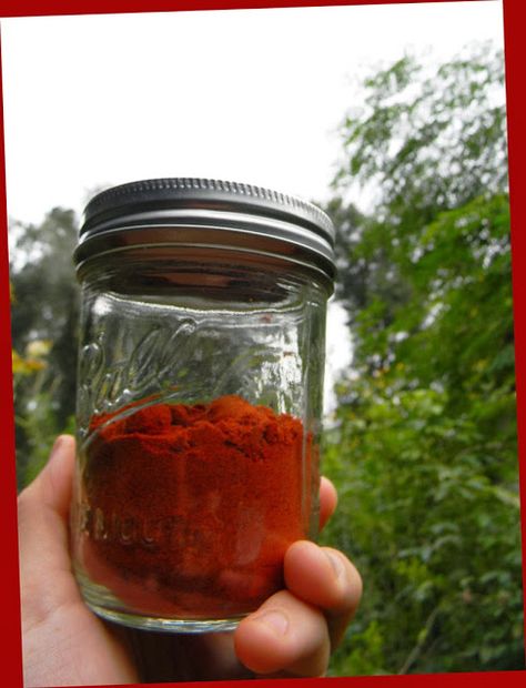 Ground Cayenne Pepper, Seasoning Blends, Dried Peppers, Florida Gardening, Never Go Back, Pepper Seeds, Cayenne Pepper, Seasoning Blend, Cayenne Peppers