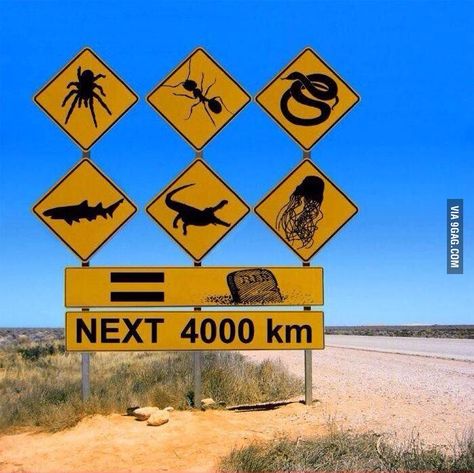 Australia, you crazy... Yes we are. Still would not want to be anywhere else. the sign is missing a few though. then there is the weather that can kill you...oh and the distance... and the dozens of other animals here that can screw you over... lack of water.... sun exposure.... heat ... cold.... damn I love my country. Australian Road Signs, Aussie Memes, Meanwhile In Australia, Australia Funny, Funny Road Signs, Yellow Sign, Outback Australia, Road Sign, Australia Day