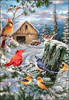 Boxed Christmas Glitter Cards-10 of one design 75816 - May… Dona Gelsinger, Morning Songs, Frosty Morning, Earth Design, Winter Bird, Christmas Bird, Paul Cezanne, Christmas Gift Decorations, Mosaic Diy