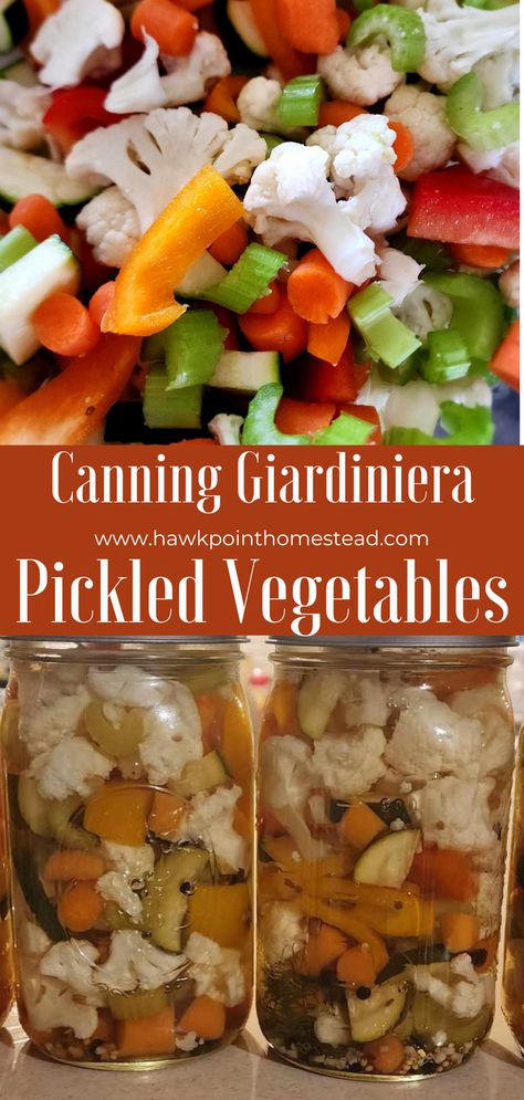 This pickled cauliflower canning recipe gives a whole new meaning to pickles! I have recently learned you can pickle so many different kinds of vegetables. Cauliflower is one of the greatest vegetable you can pickle. It turns out so tasty and still quite crisp and crunchy! Pickled cauliflower are a great addition to any appetizer spread or relish tray, and can be served with basically anything Hot Cauliflower Canning Recipes, Hot Pickled Veggies, Pickling Cauliflower And Carrots, Pickles Vegetables Recipe, Pickles Veggies Recipe, Pickled Veggies Recipe Jars, Canning Pickled Cauliflower, Canning Pickled Veggies, Homemade Pickled Vegetables