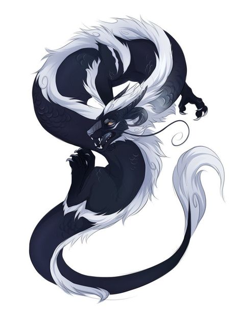 Eastern Dragon, Sketch, Deviantart, White, Black