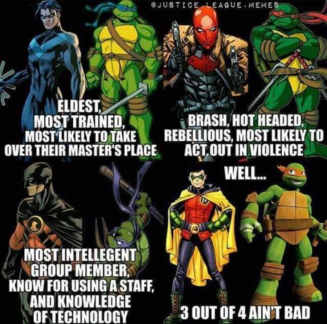 Jason Damian, Dc Batfamily, Dc Facts, Dc Comics Facts, Who Really Cares, Night Wing, Superhero Facts, League Memes, Superhero Memes