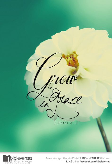 Grow in Grace ~ CHRISTitan poetry by deborahann ~ What Is Grace, Grace Quotes, Seed Box, Jesus Christ Superstar, Grow In Grace, Christian Friends, Ayat Alkitab, 2 Peter, Gods Grace