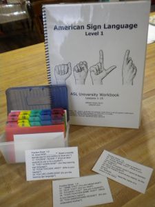 Sign Language For Toddlers, Asl Lessons, Simple Sign Language, Sign Language For Kids, Sign Language Lessons, Sign Language Phrases, Deaf Education, Language Levels, Sign Language Interpreter