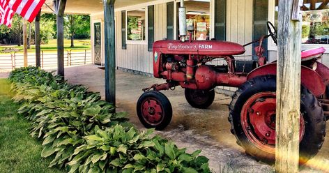 The Incredible Farm In Massachusetts Where You Can Pick Buckets Of Berries Strawberry Picking, Waterfront Restaurant, Summer Berries, Local Farm, Animal Sanctuary, Summer Bucket, Summer Bucket Lists, Haunted Places, In Boston