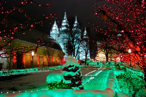 Although temperatures drop to the low teens this month, there are still plenty of festivals, parties, activities, and community celebrations happening in SLC in November. Salt Lake City Temple, Event Guide, Hotel Price, Gospel Of Jesus Christ, Christmas Gif, Salt Lake City Utah, Fun Events, Art Event, In November