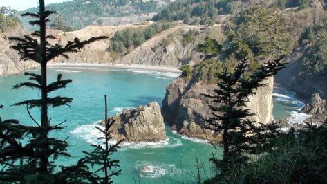 Redwood Hwy - Hwy 101 (California, United States): Address, Scenic Drive Reviews - TripAdvisor Lost Coast Trail, Humboldt County California, Eureka California, Santa Cruz Beach Boardwalk, Mendocino Coast, Humboldt County, California Vacation, Scenic Drive, Beach Town