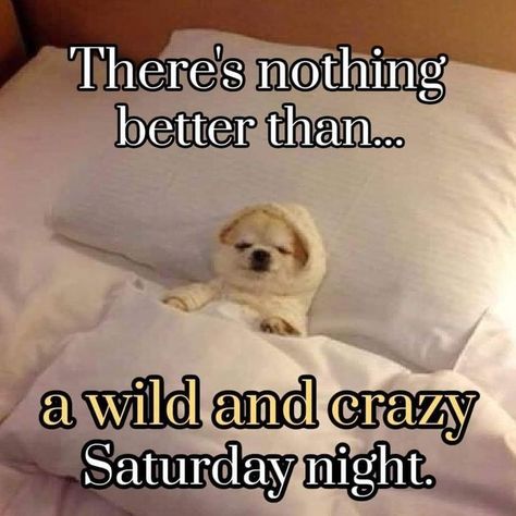 Saturday Night Humor Staying Home On A, Saturday Night Humor, Snuggles Quotes, Sunday Morning Quotes Funny, Saturday Night Quotes, Saturday Night At Home, Happy Saturday Night, Saturday Memes, Weekly Quotes