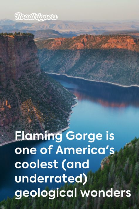 Flaming Gorge Utah, Flaming Gorge, Alaskan Wildlife, Rv Trip, Travel Bucket List Usa, Camping Locations, Utah Photography, Top Travel Destinations, Usa Travel Destinations