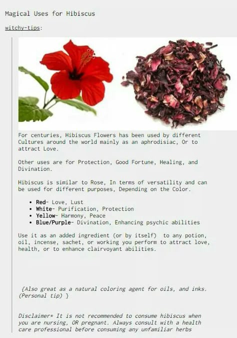 Hibiscus Herb Magic, Raspberry Leaf Witchcraft, Hibiscus Flower Magical Properties, Magical Properties Of Hibiscus, Hibiscus Spiritual Benefits, Hibiscus Witchcraft, Hibiscus Magical Properties, Flower Spells, Herbs Meaning