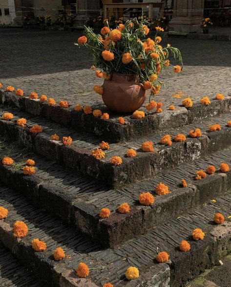 Mexican Pride Aesthetic, Orange Mexican Aesthetic, Hispanic Culture Aesthetic, Mexican Culture Aesthetic, Mexican Aesthetic, Dia De Los Muertos Decorations Ideas, Lunar Beauty, Latina Aesthetic, Brown Pride