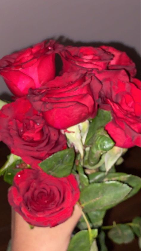 Birthday Roses Aesthetic, Rose In Hand Snapchat, Bouquet Snapchat, Flower Gift Snapchat Story, Rosé Snapchat, Rose In Hand, Carolina Herrera Perfume, Awsome Pictures, Rose Flower Photos