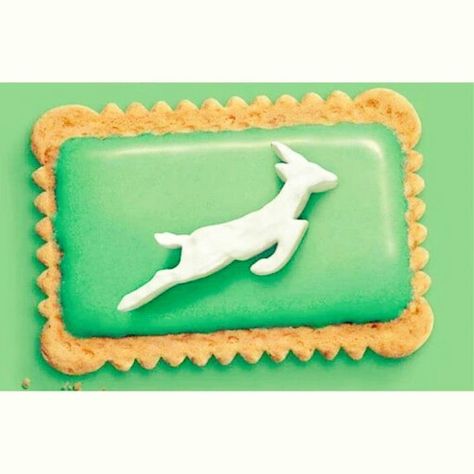 Springbok you biscuit! Springbok Rugby Party Invite, Springbok Party Ideas, Springbok Rugby Theme Party Ideas, Rugby Snacks, Springbok Rugby Party, Springboks Rugby South Africa, South Africa Party, Graham Cake, Rugby Party