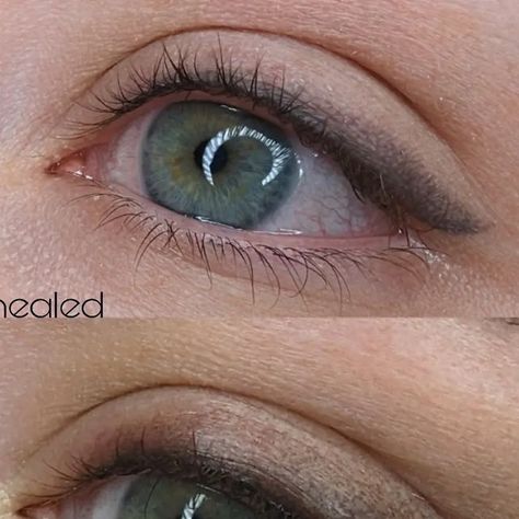 Pmu Eyeliner, Tattoo Makeup, Light Brow, Shadow Effect, Permanent Eyeliner, Eyeliner Tattoo, 2023 Color, Brown Eyeliner, Makeup Tattoos