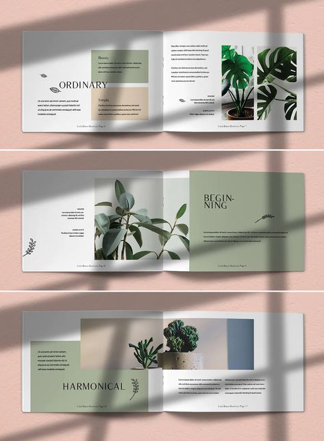 Plant Brochure Landscape Template INDD - 24 Pages Layout Landscape Poster Design Layout, Elegant Brochure Design Layout, A5 Landscape Brochure Design, Landscape Magazine Layout Design, Landscape Book Layout Design, Magazine Layout Design Landscape, Magazine Layout Landscape, Landscape Catalogue Design, Landscape Book Design