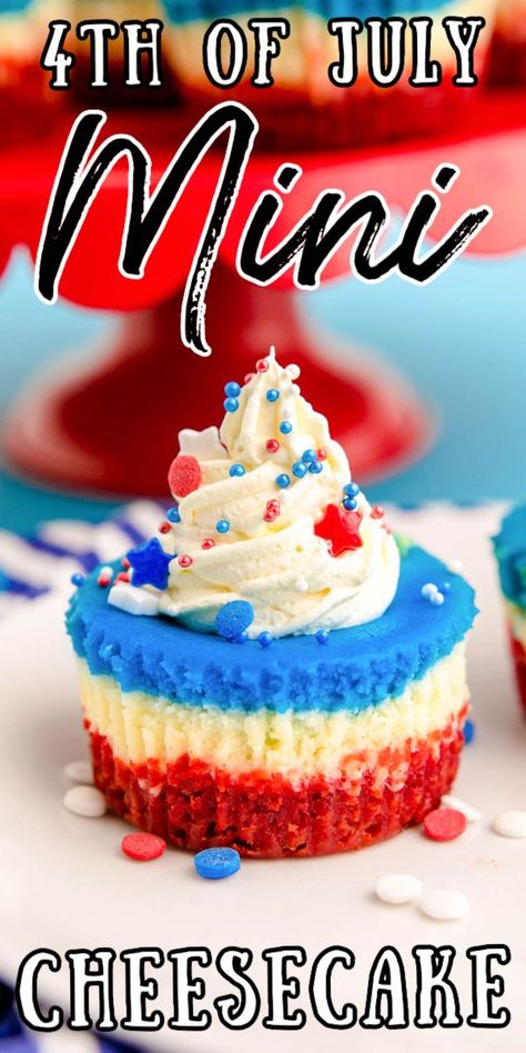 Red White And Blue No Bake Cheesecake, 4th July Food, Cake Batter Dip, Shortbread Cookie Crust, Plain Cheesecake, Layered Dessert, Mini Cheesecake Recipes, Patriotic Desserts, 4th Of July Desserts