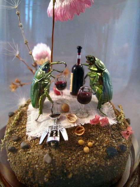 Insect Diorama, Bug Taxidermy, Insect Taxidermy, Taxidermy Art, Bug Art, Shadow Box Art, Bone Art, Drinking Wine, Beautiful Bugs