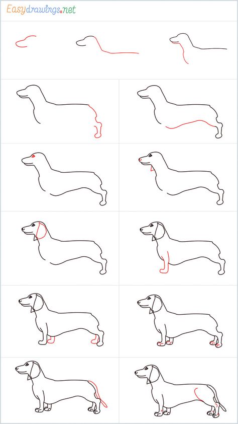 How To Draw A Dachshund Step by Step - [13 Easy Phase] Drawing A Dachshund, Dachshund Drawing Sketches, How To Draw A Dachshund Step By Step, How To Draw Dachshund, Dachshund Reference, How To Draw A Dachshund, Dachshund Drawing Easy, How To Draw A Cute Dog, How To Draw A Dog Step By Step