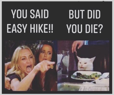 Hikers gonna hike #exercise #funnymemes #hiking #hikingmemes #walking Hiking Jokes, Hiking Humor Hilarious, Hiking Humor, Nature Memes Funny, Landscaping Quotes, Hiking Meme, Climbing Memes Funny, Rock Climbing Memes Funny, Hiking Meme Funny