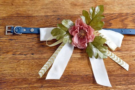 Pizza Wedding, Diy Wedding Food, Wedding Food Menu, Flower Dog Collar, Dog Accesories, Wedding Dog Collar, Diy Dog Collar, Irish Rose, Flower Collar